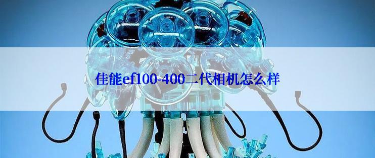 佳能ef100-400二代相机怎么样