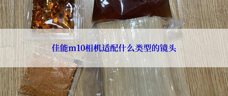 佳能m10相机适配什么类型的镜头