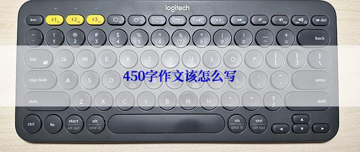 450字作文该怎么写