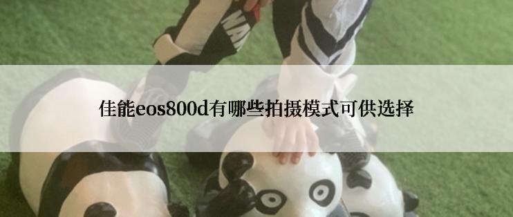 佳能eos800d有哪些拍摄模式可供选择