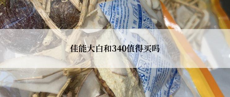 佳能大白和340值得买吗