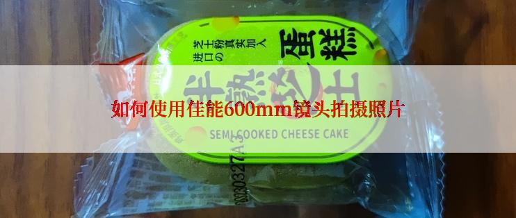 如何使用佳能600mm镜头拍摄照片