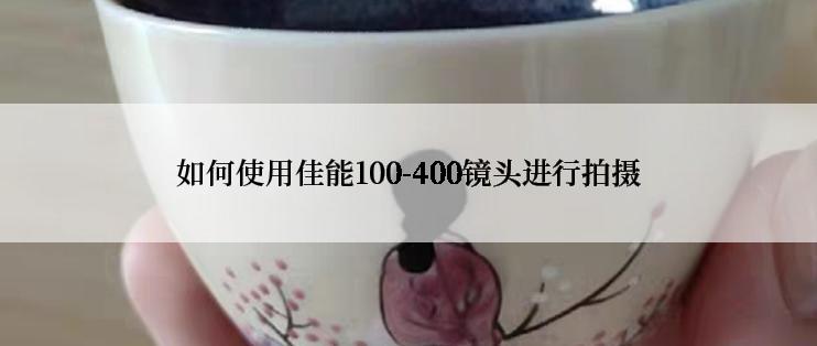 如何使用佳能100-400镜头进行拍摄