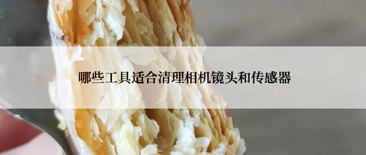  哪些工具适合清理相机镜头和传感器