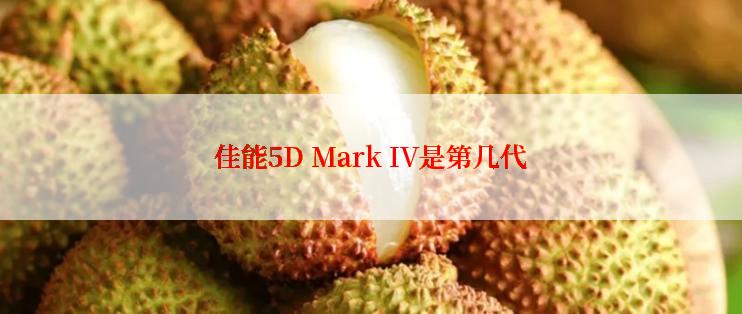 佳能5D Mark IV是第几代