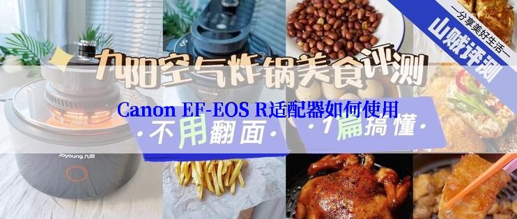 Canon EF-EOS R适配器如何使用