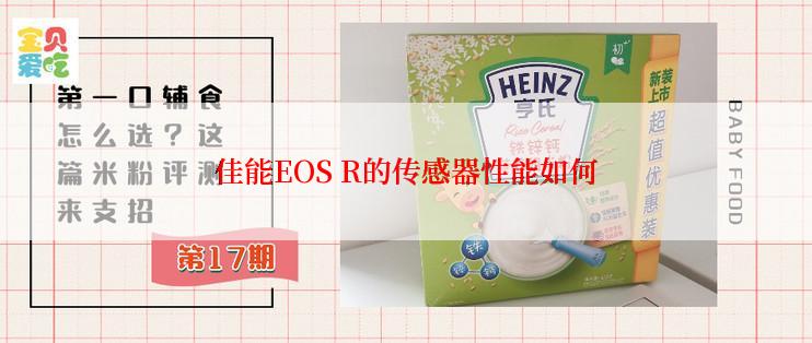 佳能EOS R的传感器性能如何