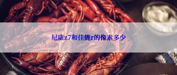 尼康z7和佳能r的像素多少