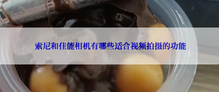  索尼和佳能相机有哪些适合视频拍摄的功能