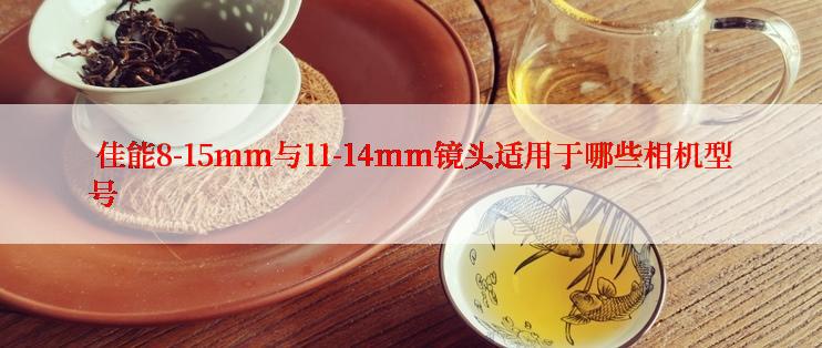  佳能8-15mm与11-14mm镜头适用于哪些相机型号