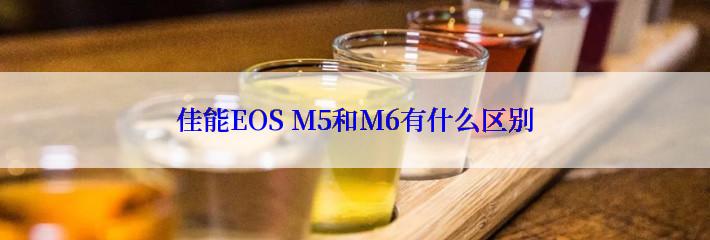 佳能EOS M5和M6有什么区别