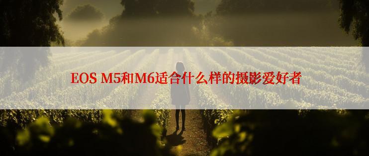  EOS M5和M6适合什么样的摄影爱好者