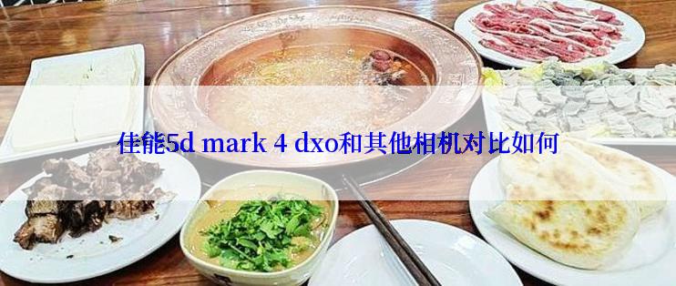 佳能5d mark 4 dxo和其他相机对比如何