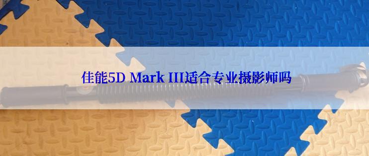  佳能5D Mark III适合专业摄影师吗