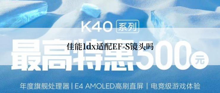 佳能1dx适配EF-S镜头吗