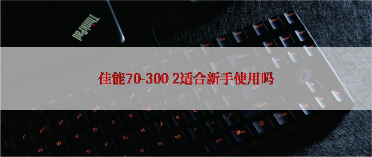 佳能70-300 2适合新手使用吗