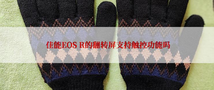  佳能EOS R的翻转屏支持触控功能吗