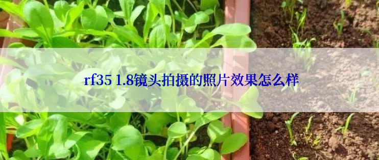  rf35 1.8镜头拍摄的照片效果怎么样