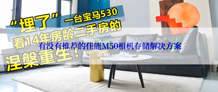  有没有推荐的佳能M50相机存储解决方案