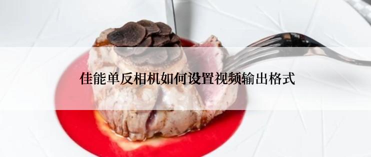  佳能单反相机如何设置视频输出格式