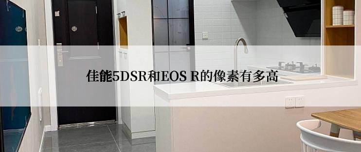  佳能5DSR和EOS R的像素有多高