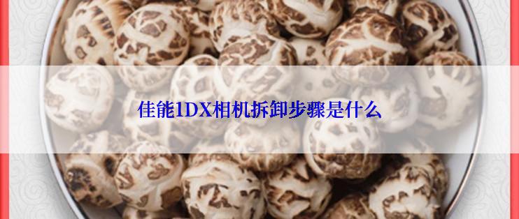 佳能1DX相机拆卸步骤是什么