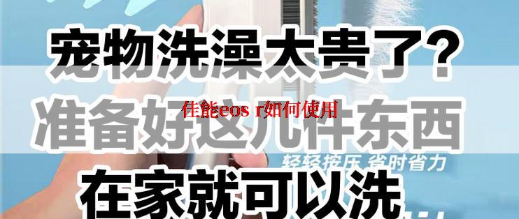 佳能eos r如何使用