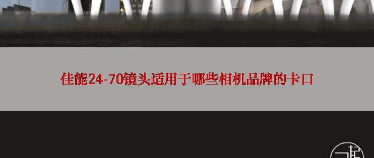 佳能24-70镜头适用于哪些相机品牌的卡口