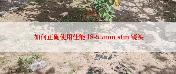  如何正确使用佳能 18-55mm stm 镜头