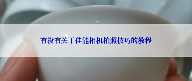 有没有关于佳能相机拍照技巧的教程