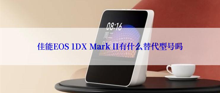 佳能EOS 1DX Mark II有什么替代型号吗