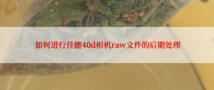  如何进行佳能40d相机raw文件的后期处理