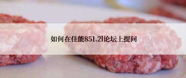  如何在佳能851.2l论坛上提问