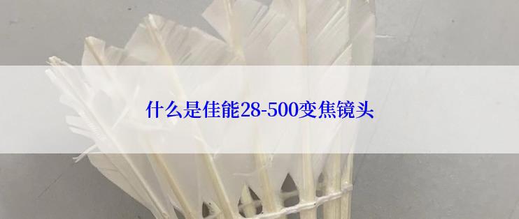 什么是佳能28-500变焦镜头