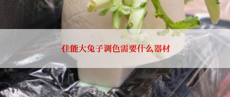  佳能大兔子调色需要什么器材