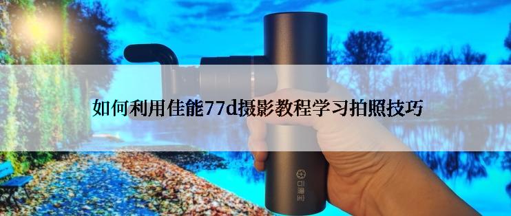  如何利用佳能77d摄影教程学习拍照技巧