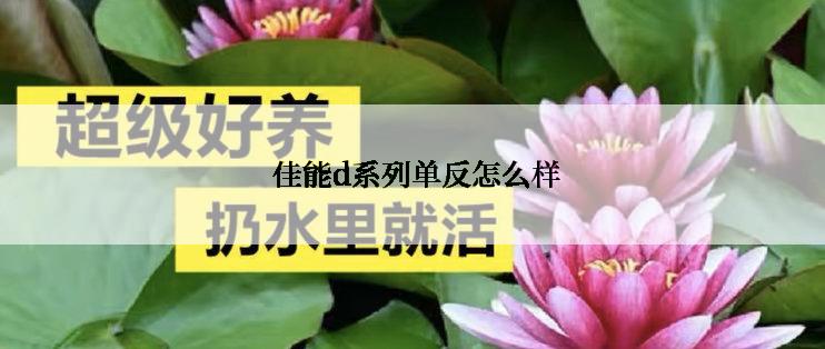  佳能d系列单反怎么样