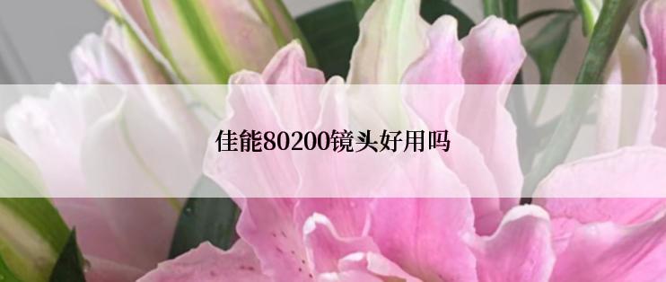 佳能80200镜头好用吗