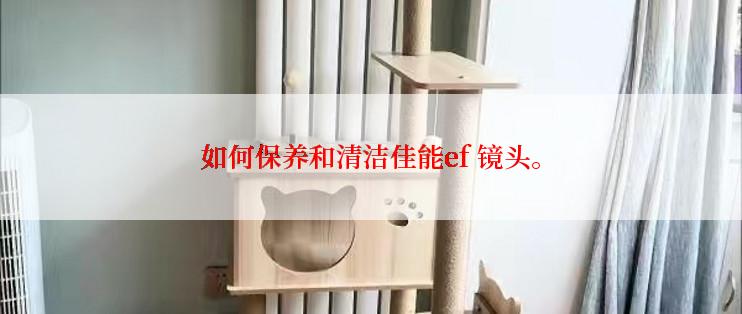 如何保养和清洁佳能ef 镜头。