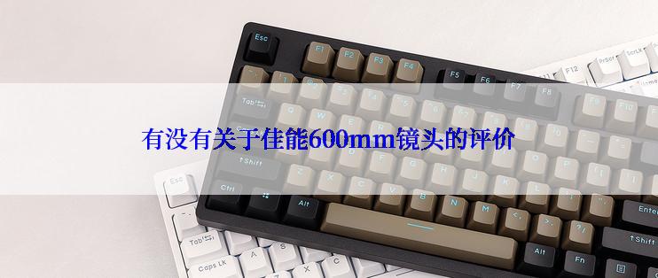 有没有关于佳能600mm镜头的评价