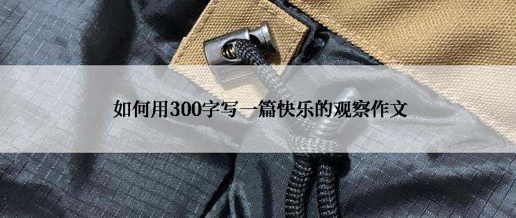  如何用300字写一篇快乐的观察作文