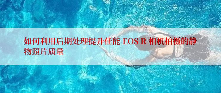 如何利用后期处理提升佳能 EOS R 相机拍摄的静物照片质量