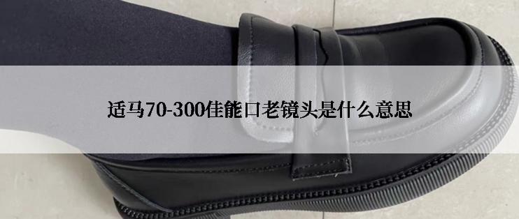 适马70-300佳能口老镜头是什么意思