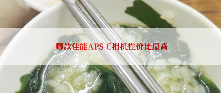  哪款佳能APS-C相机性价比最高