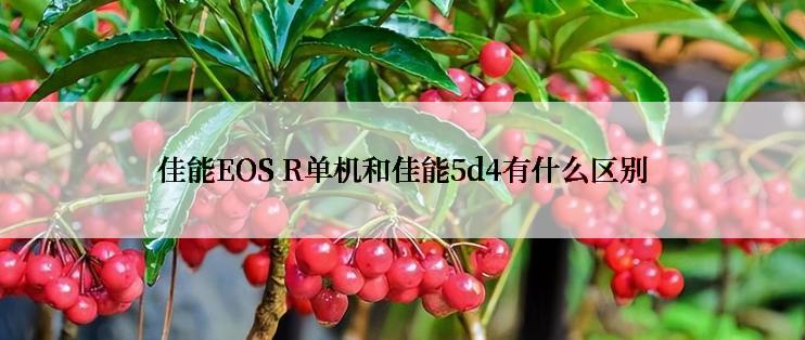 佳能EOS R单机和佳能5d4有什么区别