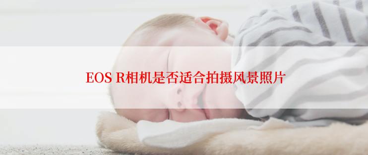  EOS R相机是否适合拍摄风景照片