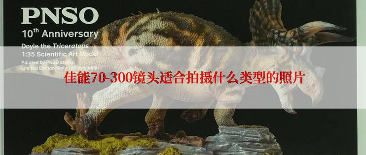  佳能70-300镜头适合拍摄什么类型的照片