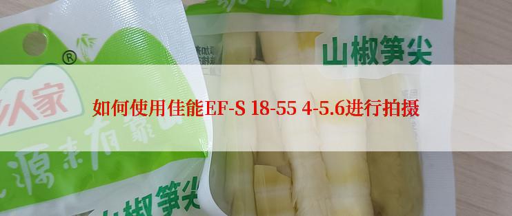 如何使用佳能EF-S 18-55 4-5.6进行拍摄