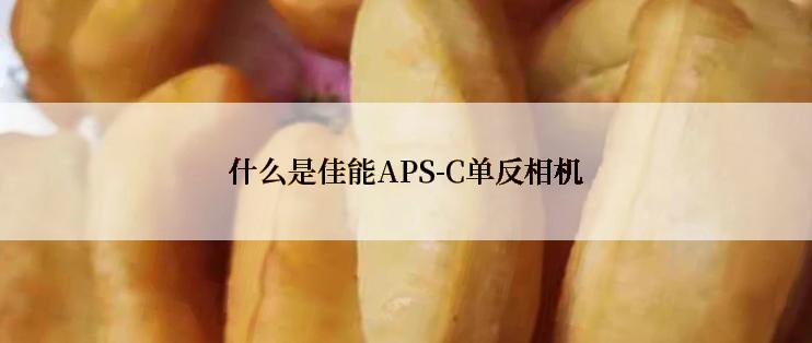 什么是佳能APS-C单反相机