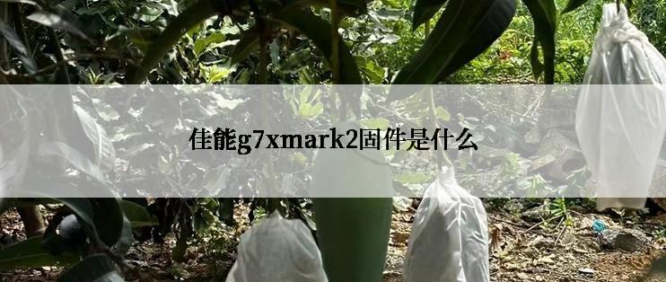 佳能g7xmark2固件是什么